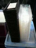 (untitled)